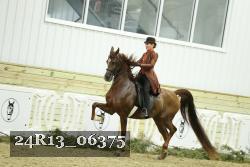 24R13_06375 thumbnail