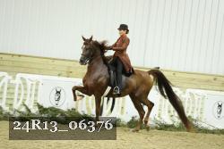 24R13_06376 thumbnail
