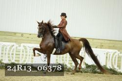 24R13_06378 thumbnail