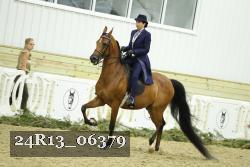 24R13_06379 thumbnail