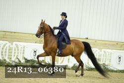 24R13_06380 thumbnail