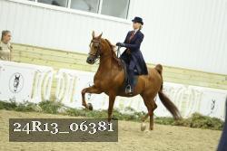 24R13_06381 thumbnail