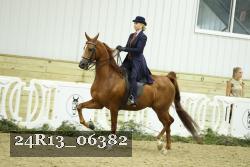 24R13_06382 thumbnail