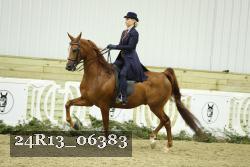 24R13_06383 thumbnail