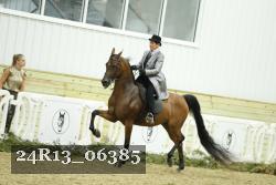 24R13_06385 thumbnail