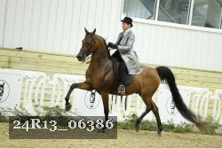 24R13_06386 thumbnail
