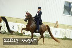 24R13_06387 thumbnail