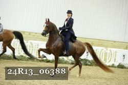 24R13_06388 thumbnail