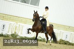 24R13_06391 thumbnail