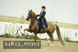 24R13_06393 thumbnail