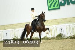 24R13_06403 thumbnail