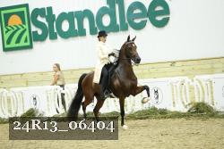 24R13_06404 thumbnail