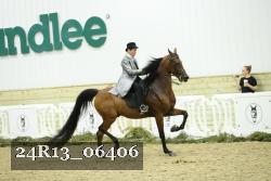 24R13_06406 thumbnail