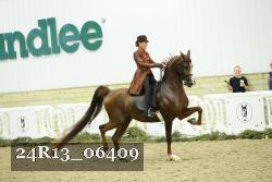 24R13_06409 thumbnail