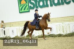 24R13_06411 thumbnail