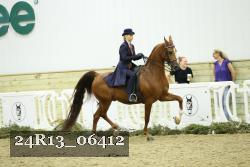 24R13_06412 thumbnail