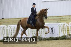 24R13_06413 thumbnail