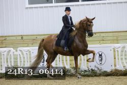 24R13_06414 thumbnail