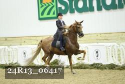 24R13_06417 thumbnail