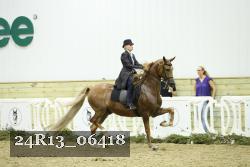 24R13_06418 thumbnail