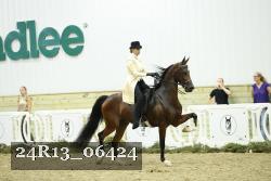 24R13_06424 thumbnail