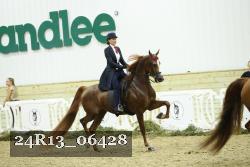 24R13_06428 thumbnail