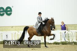24R13_06430 thumbnail