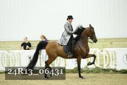 24R13_06431 thumbnail
