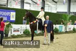 24R13_06442 thumbnail