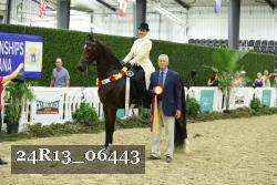 24R13_06443 thumbnail