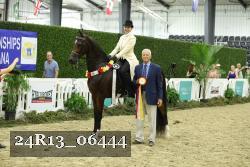 24R13_06444 thumbnail