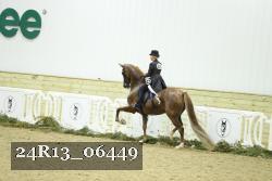 24R13_06449 thumbnail