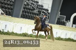 24R13_06453 thumbnail