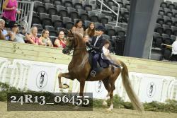 24R13_06455 thumbnail