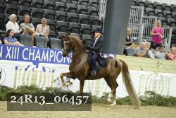 24R13_06457 thumbnail
