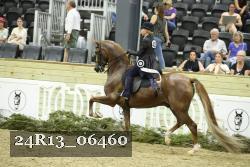 24R13_06460 thumbnail