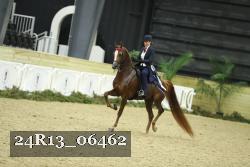 24R13_06462 thumbnail