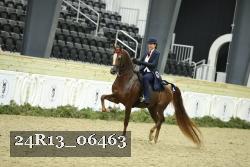 24R13_06463 thumbnail