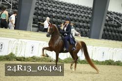 24R13_06464 thumbnail