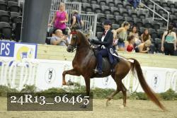 24R13_06465 thumbnail
