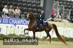 24R13_06466 thumbnail
