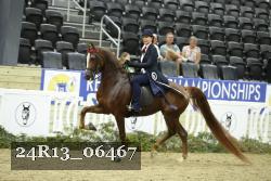 24R13_06467 thumbnail