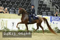 24R13_06468 thumbnail