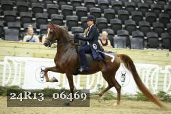 24R13_06469 thumbnail