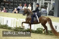 24R13_06470 thumbnail