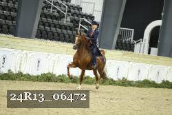24R13_06472 thumbnail