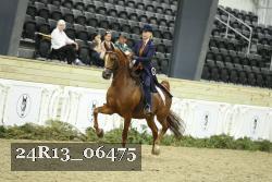 24R13_06475 thumbnail