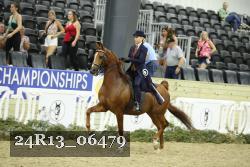 24R13_06479 thumbnail