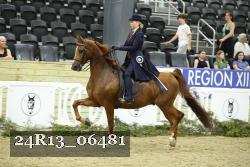 24R13_06481 thumbnail