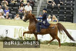 24R13_06483 thumbnail